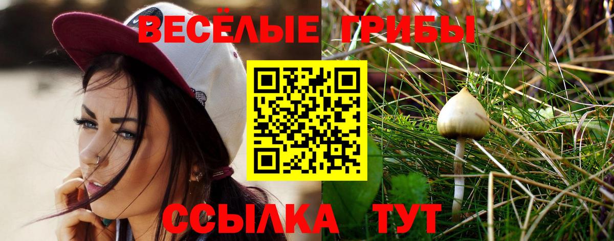 Псилоцибиновые грибы MAGIC MUSHROOMS Дубна