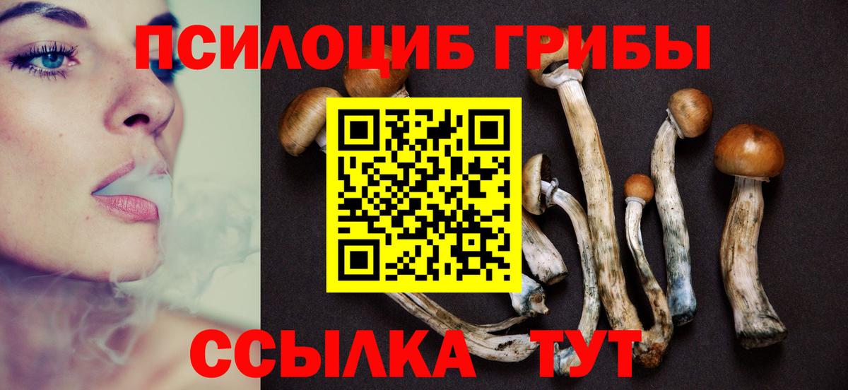 где найти наркотики  Псилоцибиновые грибы мухоморы  Вход с VPN  Дубна  Галлюциногенные грибы Psilocybine cubensis 